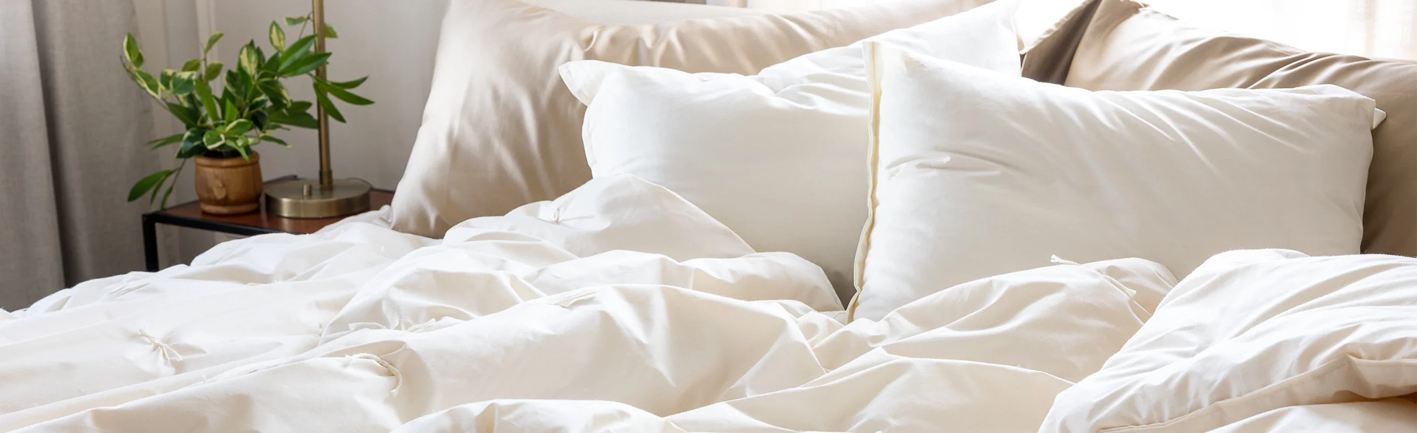 Timeless Comfort, Crafted Since 1894